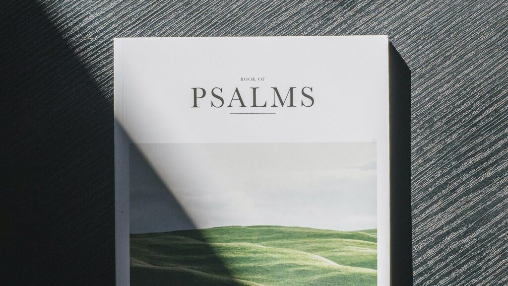 Libro portada